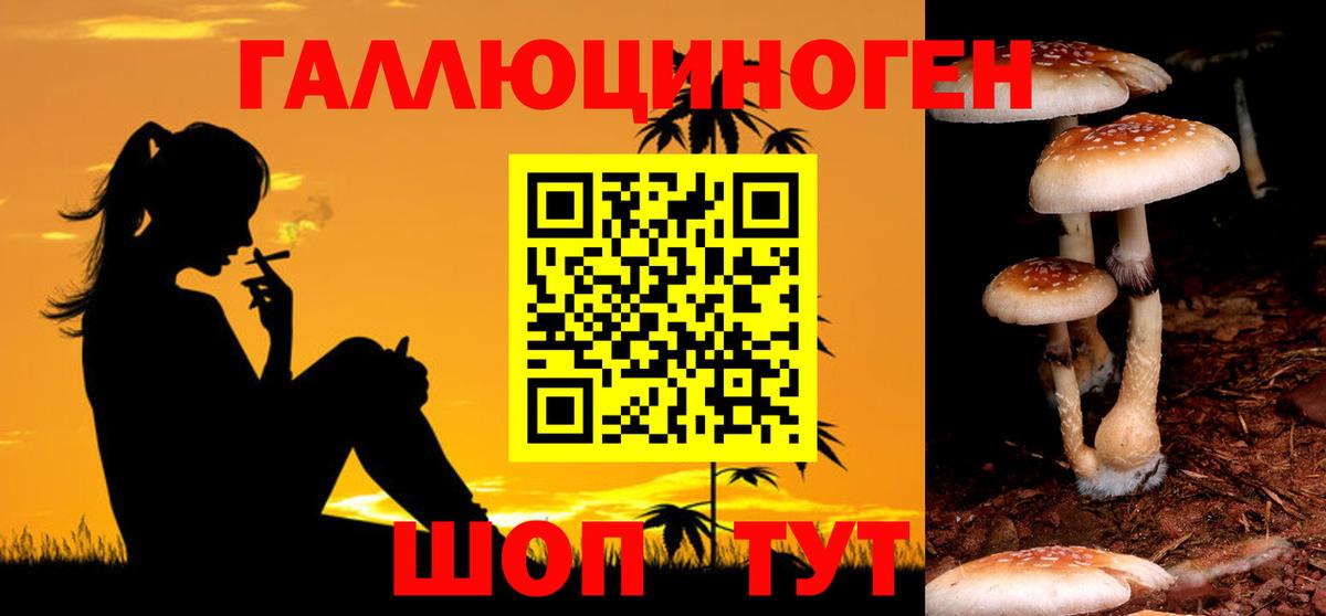 Псилоцибиновые грибы ЛСД  Вход с VPN  Туапсе  Галлюциногенные грибы Psilocybe 