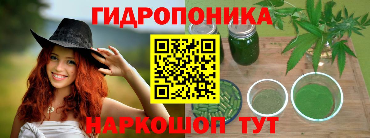Бошки марихуана ГИДРОПОН  МАРИХУАНА OG Kush  Каннабис семена  Канабис ГИДРОПОН  Туапсе  Вход с VPN 
